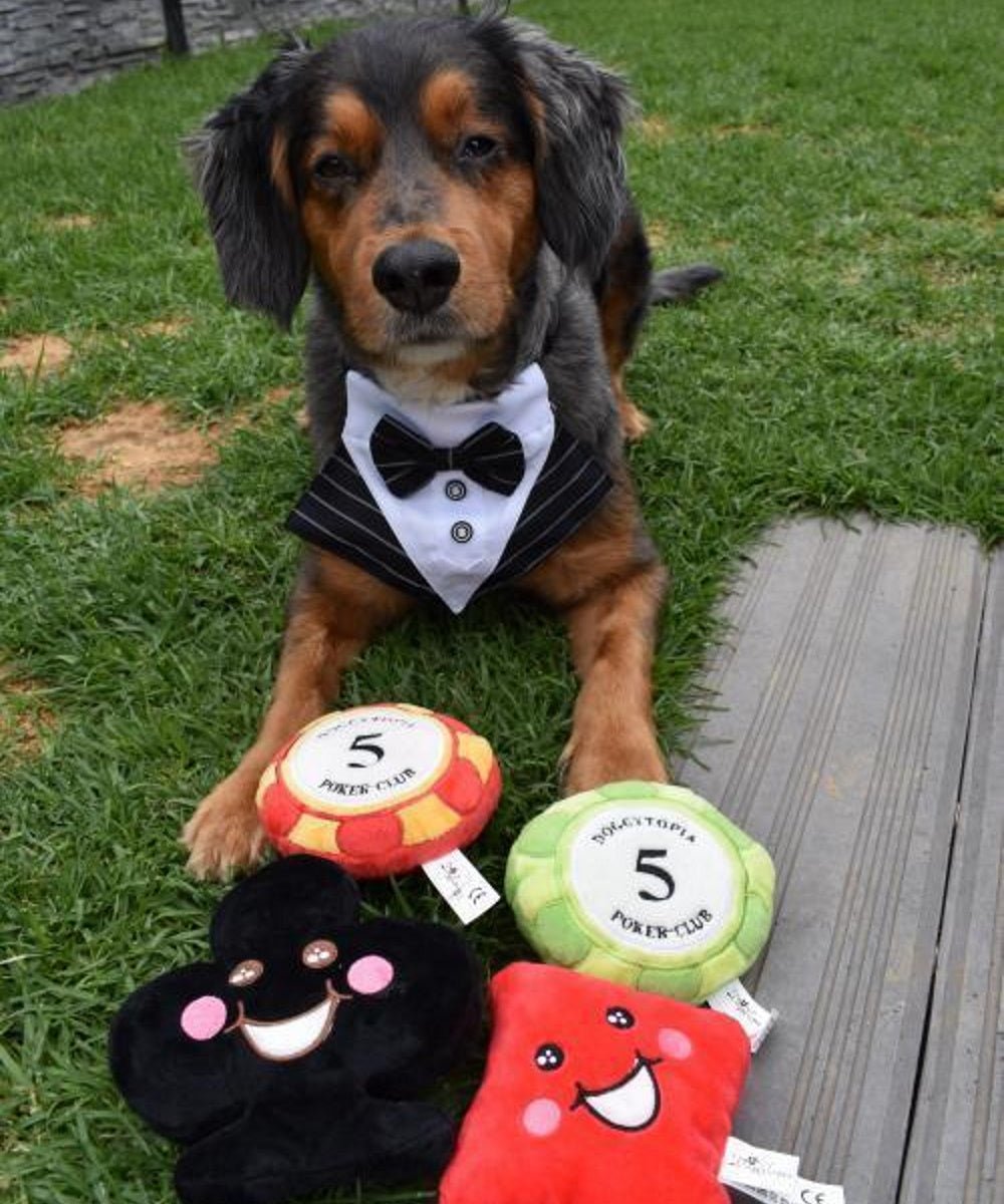 Tuxedo Dog Bandana - Black - Tuxedo Bandanas from . at DoggyTopia