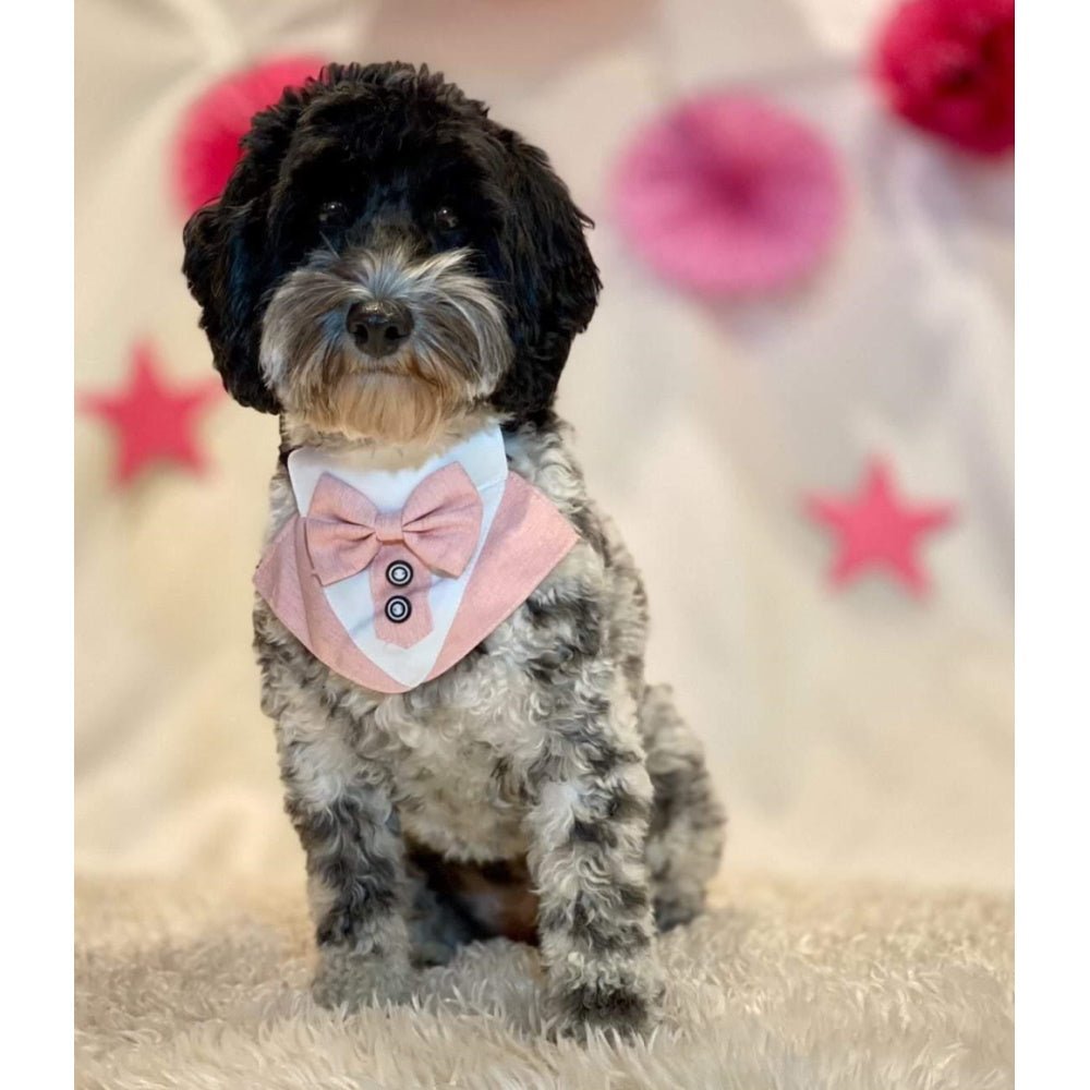 Tuxedo Dog Bandana - Dusty Pink - Tuxedo Bandanas from . at DoggyTopia
