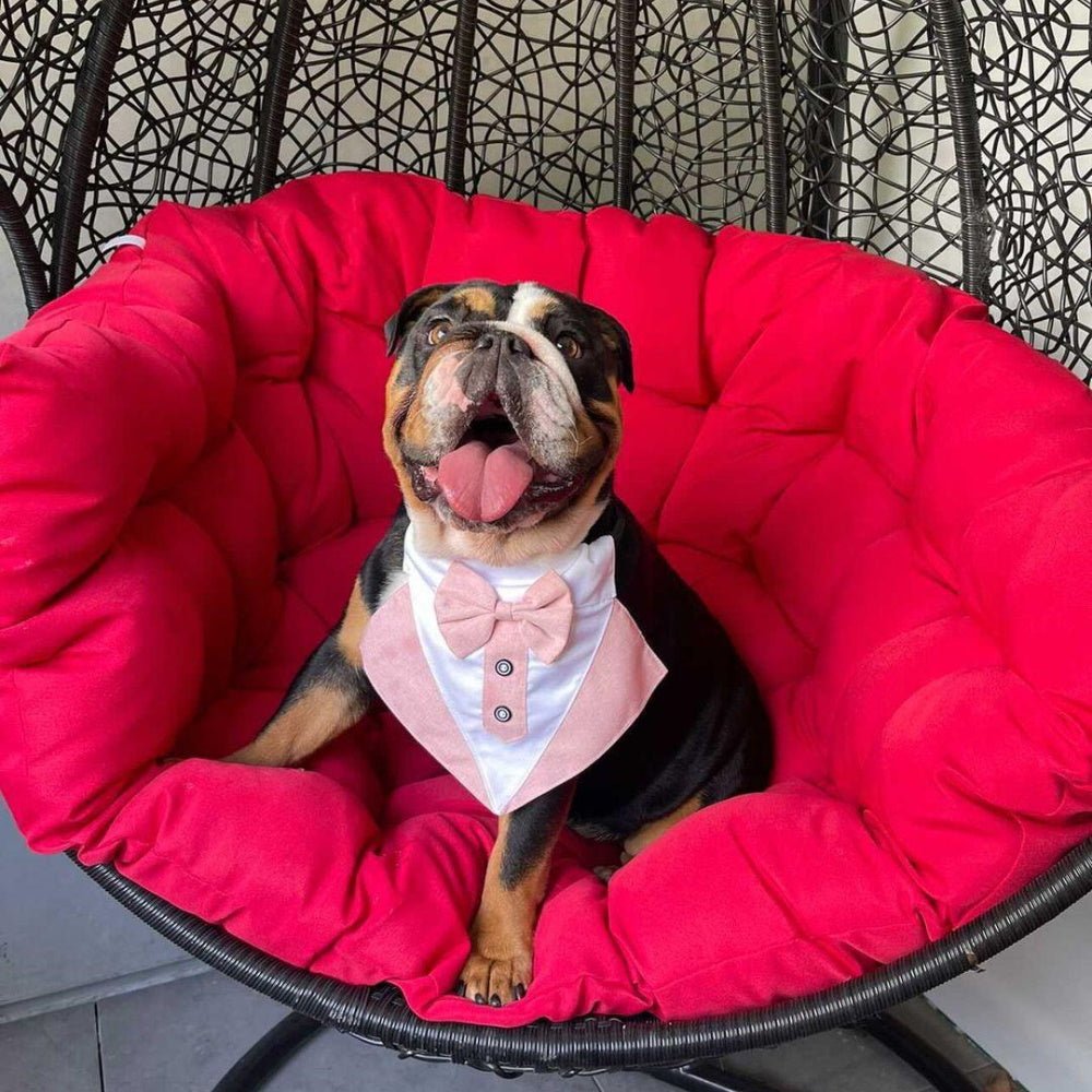 Tuxedo Dog Bandana - Dusty Pink - Tuxedo Bandanas from . at DoggyTopia