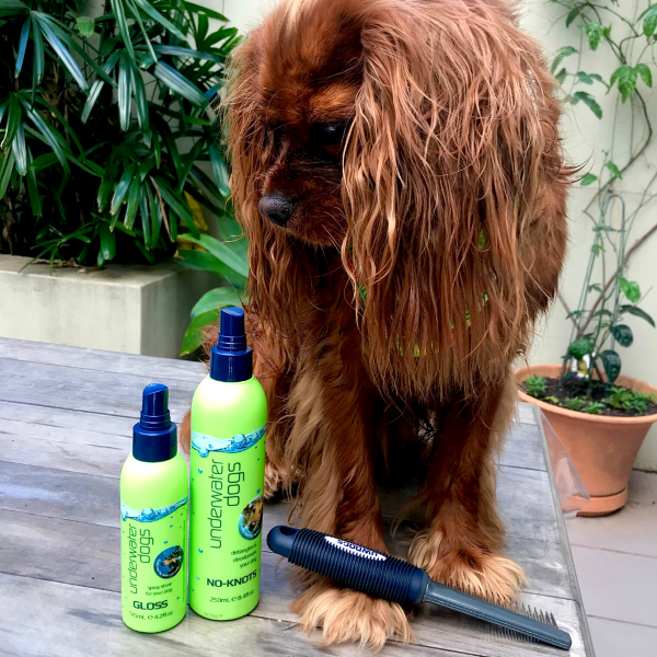 UNDERWATER DOGS No - Knots Detangler - Deodorisers & Detanglers from Underwater Dogs at DoggyTopia