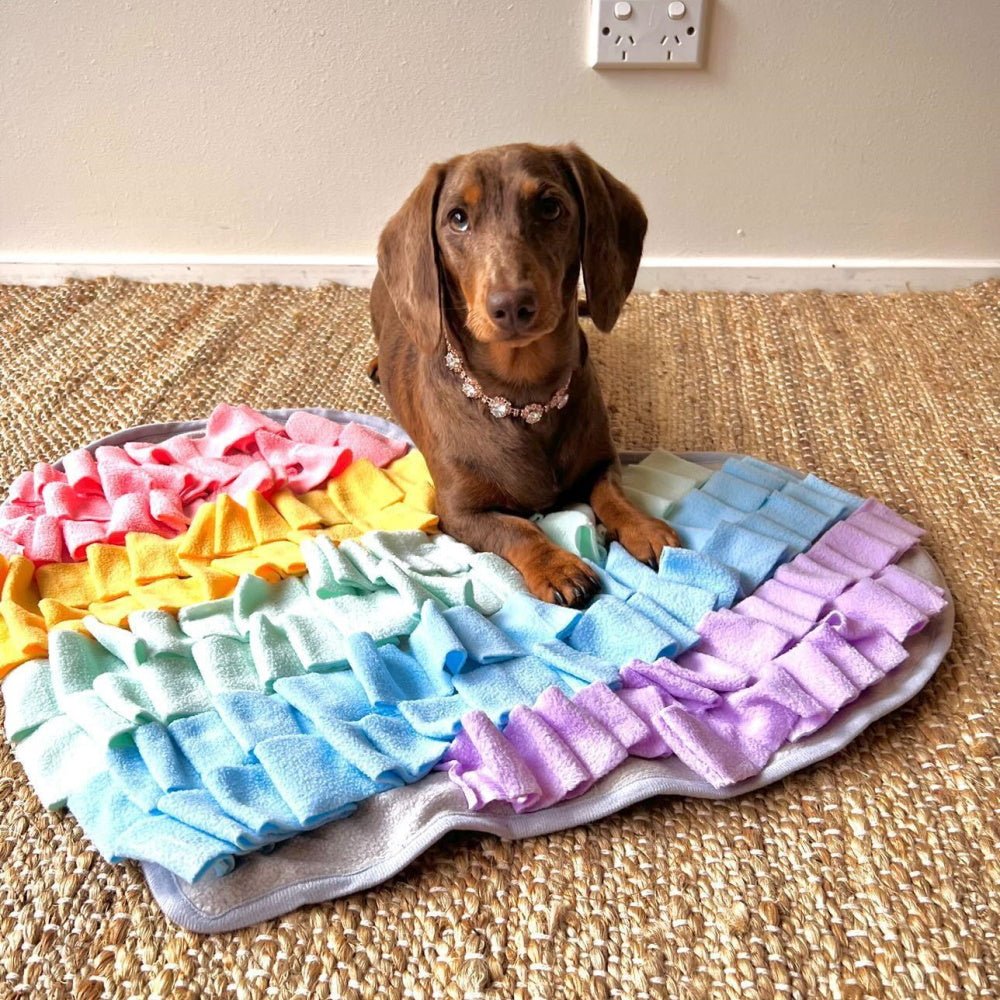 "Sniffing Out the Secrets: How Dog Snuffle Mats are Revolutionising Playtime" - DoggyTopia