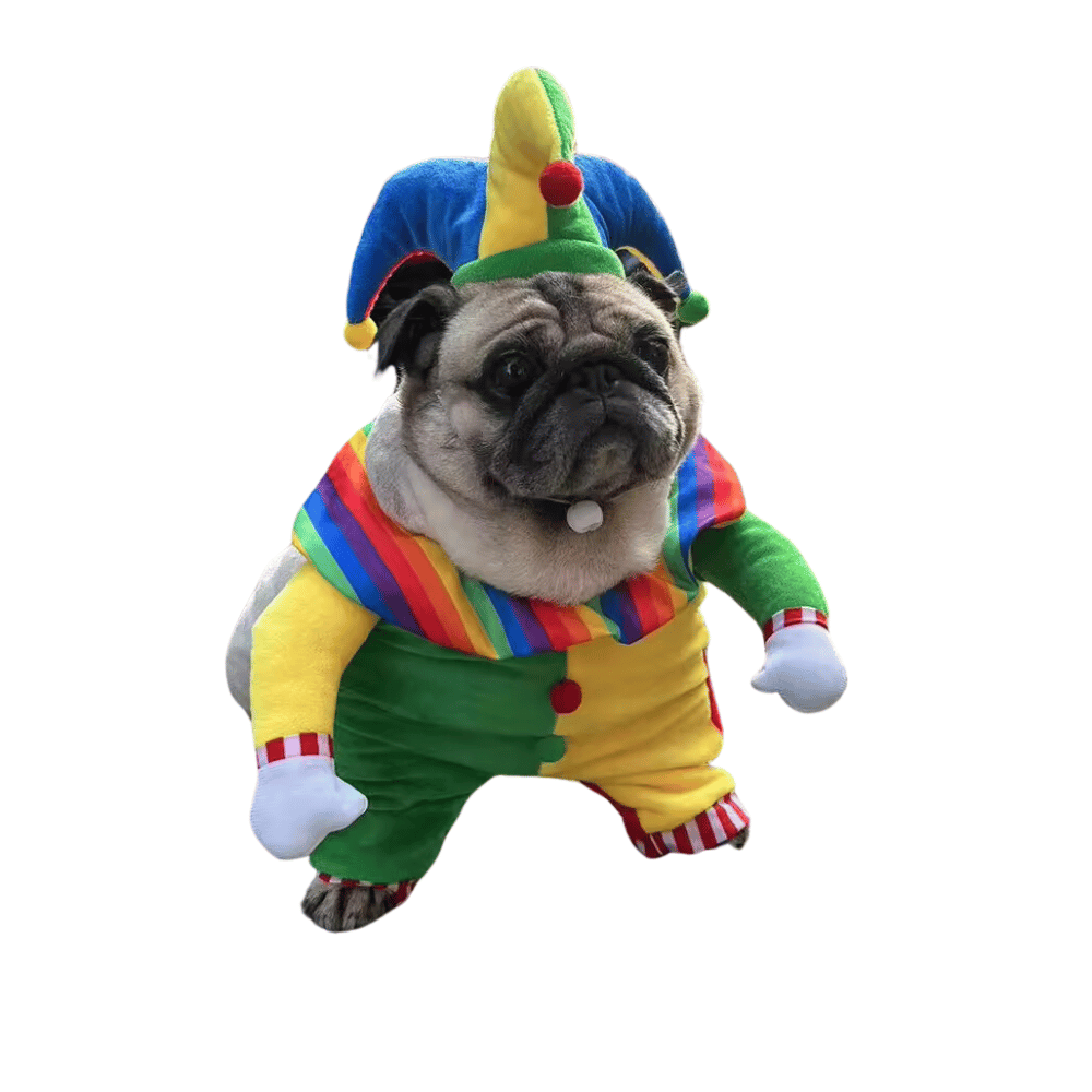 Jester Dog Costume