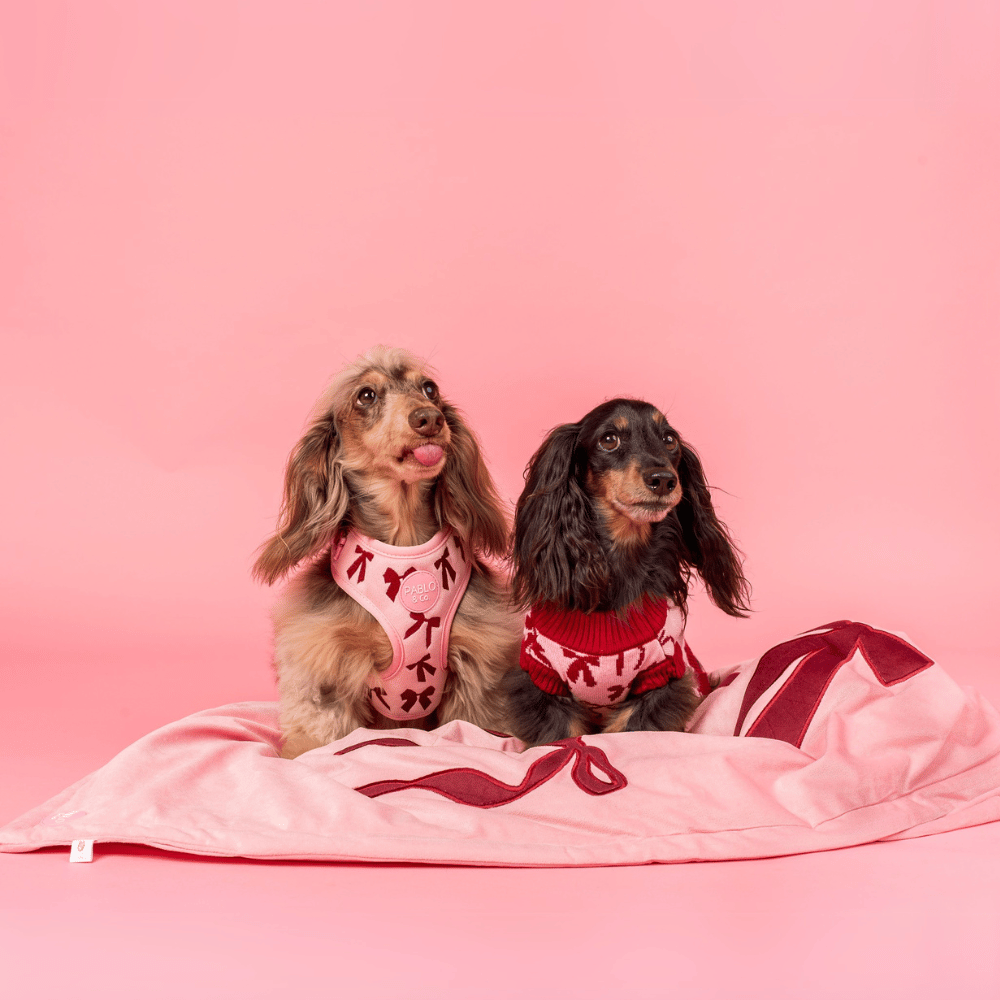 Pablo & Co Velvet Blush Bows Dog Blanket