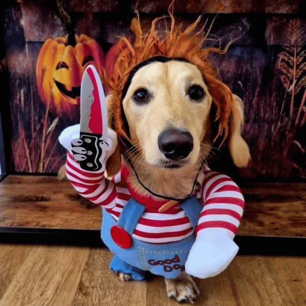 Chucky Dog Costume