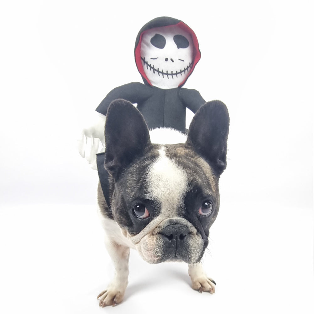 Ghoul Ride-On Dog Costume