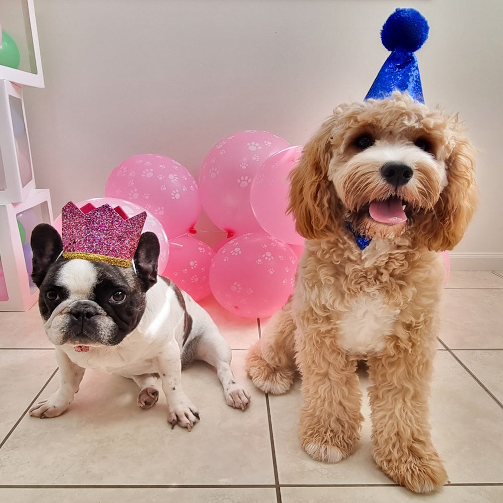 Dog Party Hat & Bow Tie Collar - Custom Age