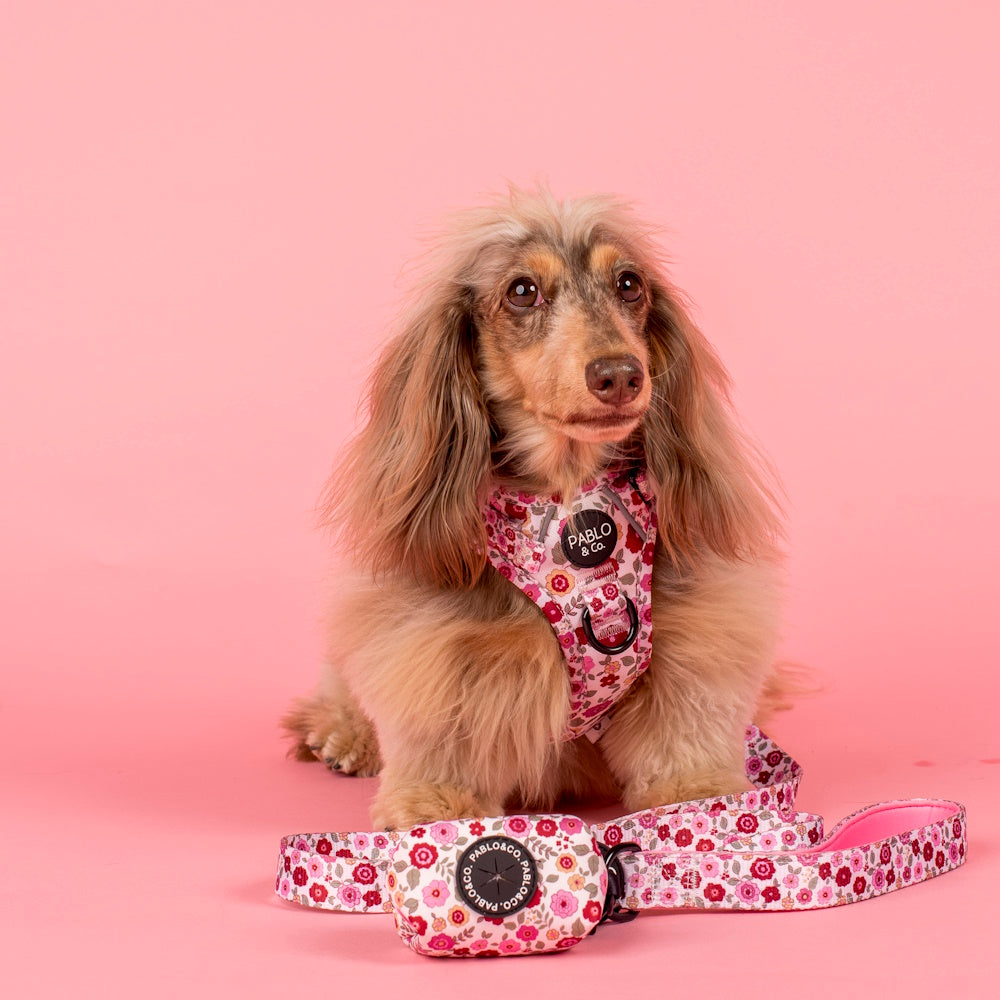 Pablo & Co Primrose Poop Bag Holder