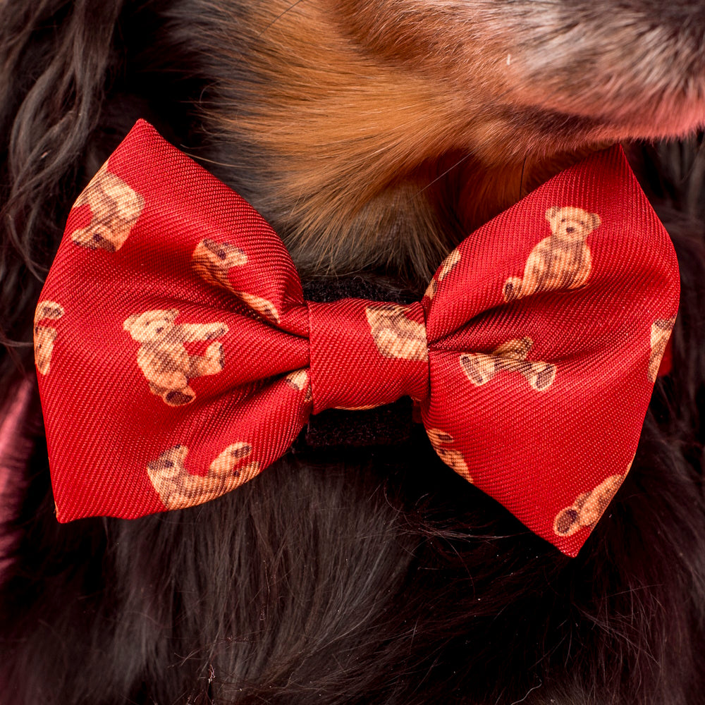 Pablo & Co Henry Bear Bow Tie