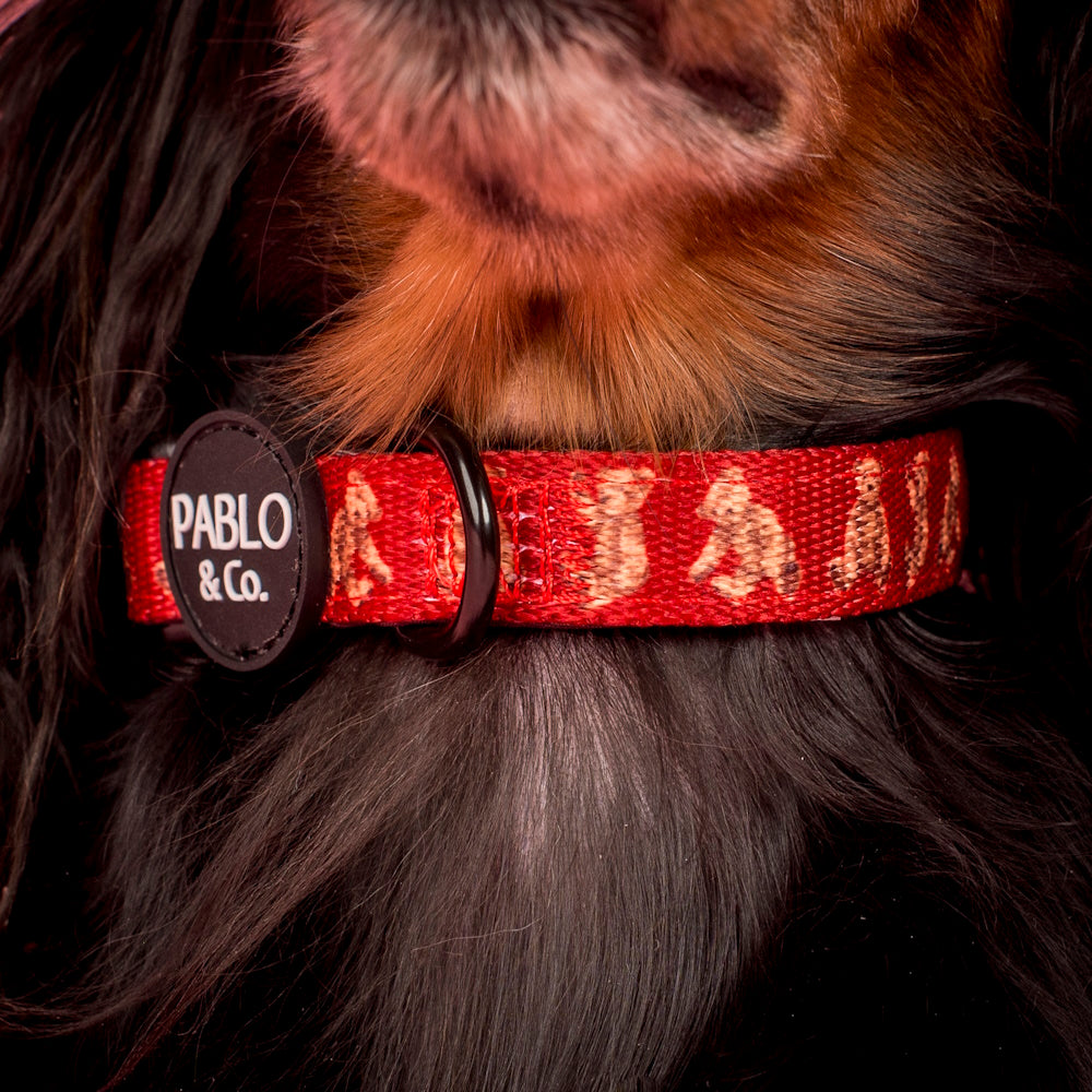 Pablo & Co Henry Bear Dog Collar