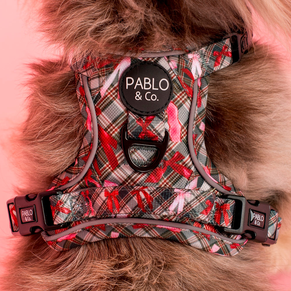 Pablo & Co Wrapped in Ribbons No Pull Dog Harness