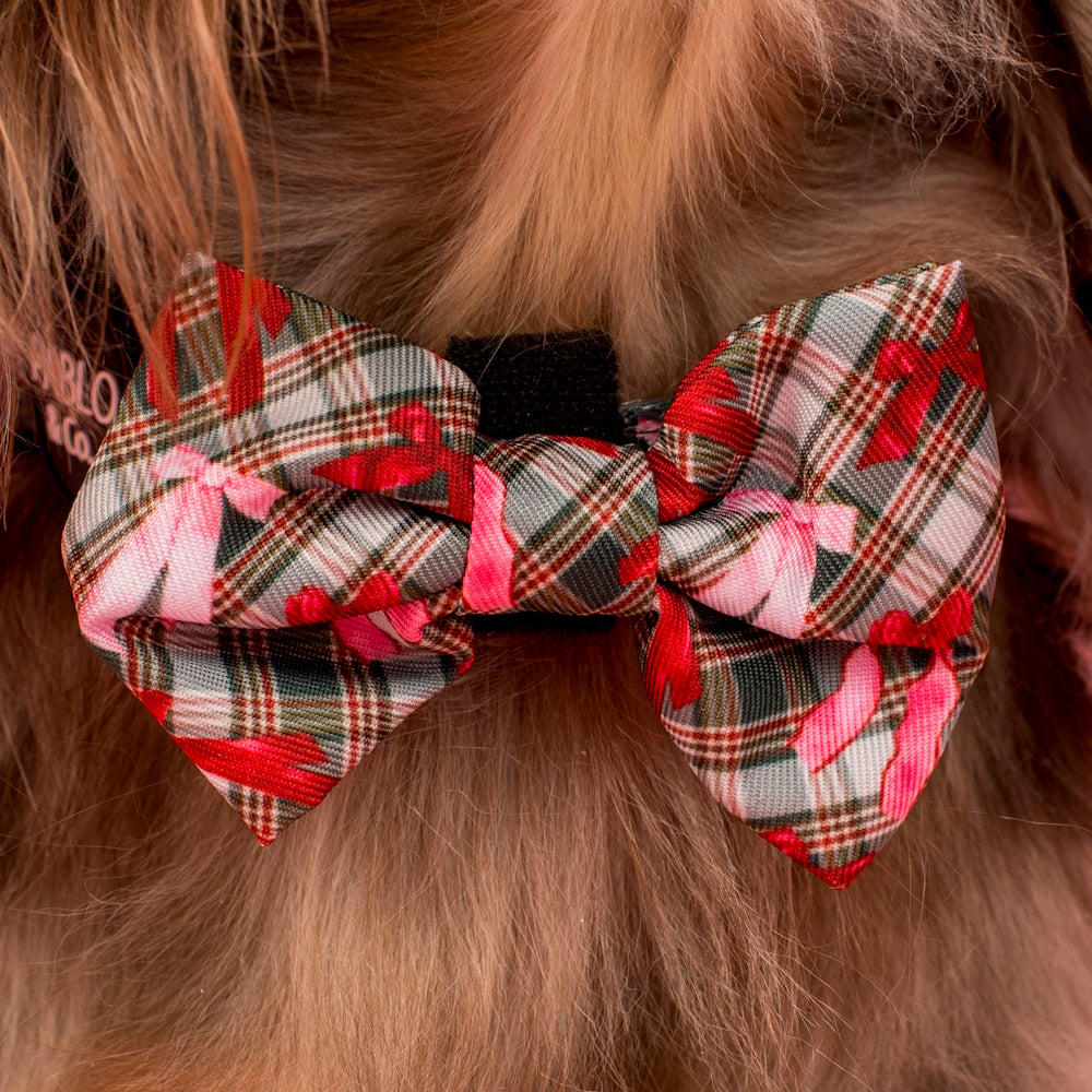 Pablo & Co Wrapped in Ribbons Bow Tie
