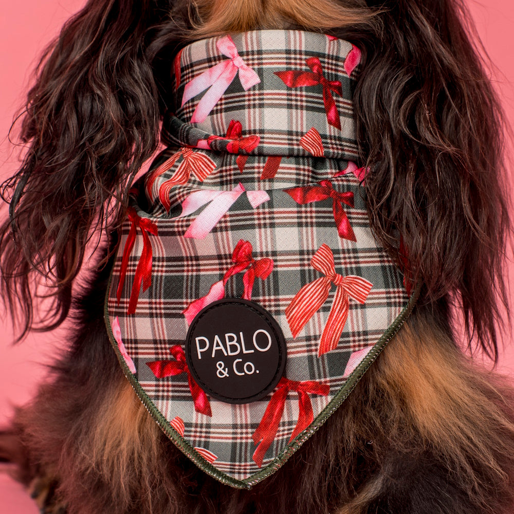Pablo & Co Wrapped in Ribbon Dog Bandana