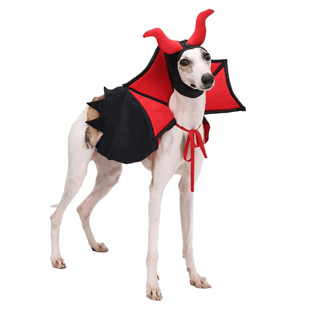 Devil Vampire Dog Costume