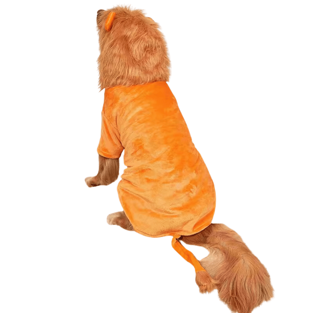 Lion Dog Costume - Medium - Large Dogs