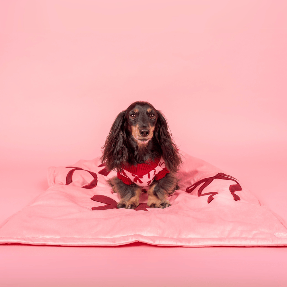 Pablo & Co Velvet Blush Bows Dog Blanket
