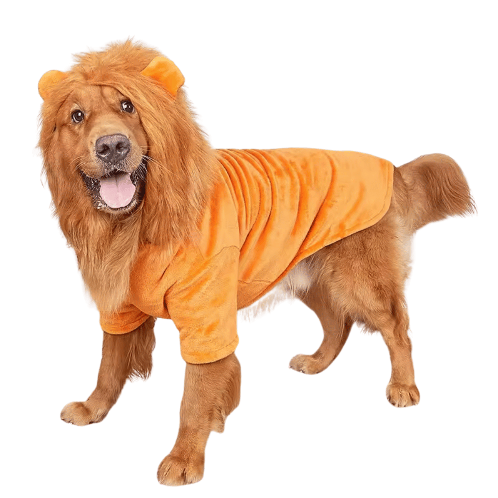 Lion Dog Costume - Medium - Large Dogs