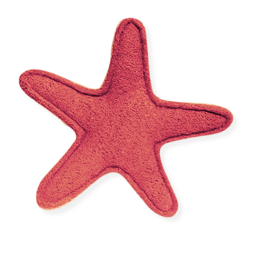 Loofah Starfish Dental Toy