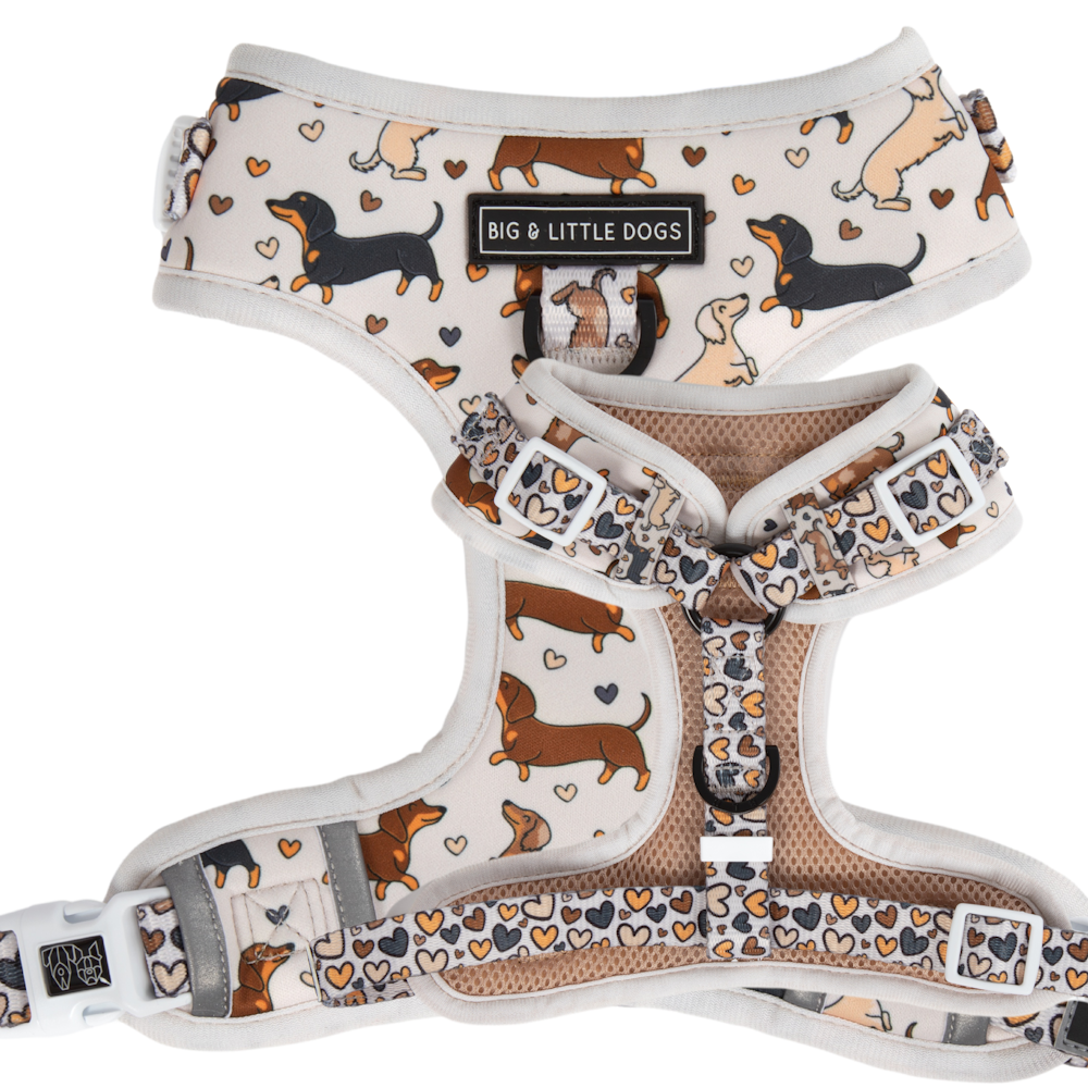 Big & Little Dogs Dashie Lovers Adjustable Harness