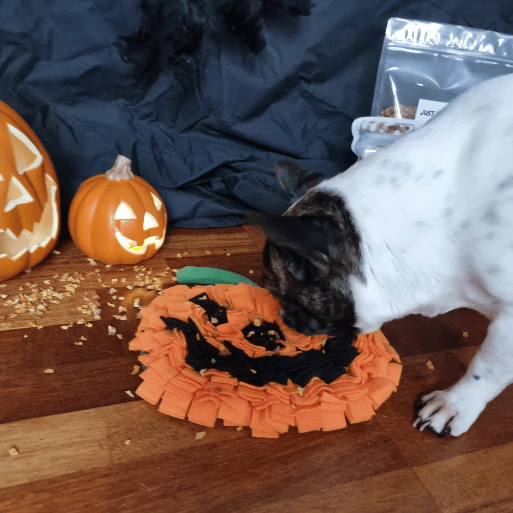 Halloween Pumpkin Snuffle Mat