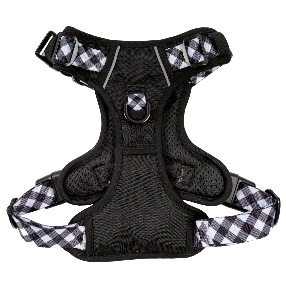 Big & Little Dogs All Rounder Harness - Black