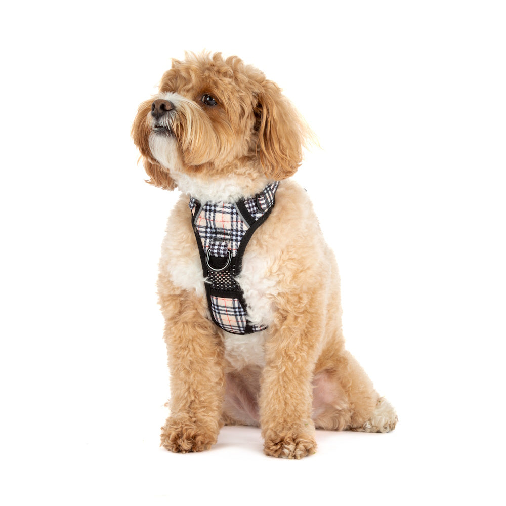 Big & Little Dogs Nova Plaid All Rounder Harness