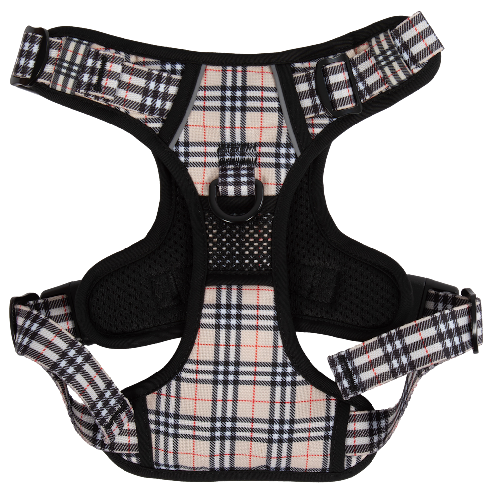 Big & Little Dogs Nova Plaid All Rounder Harness