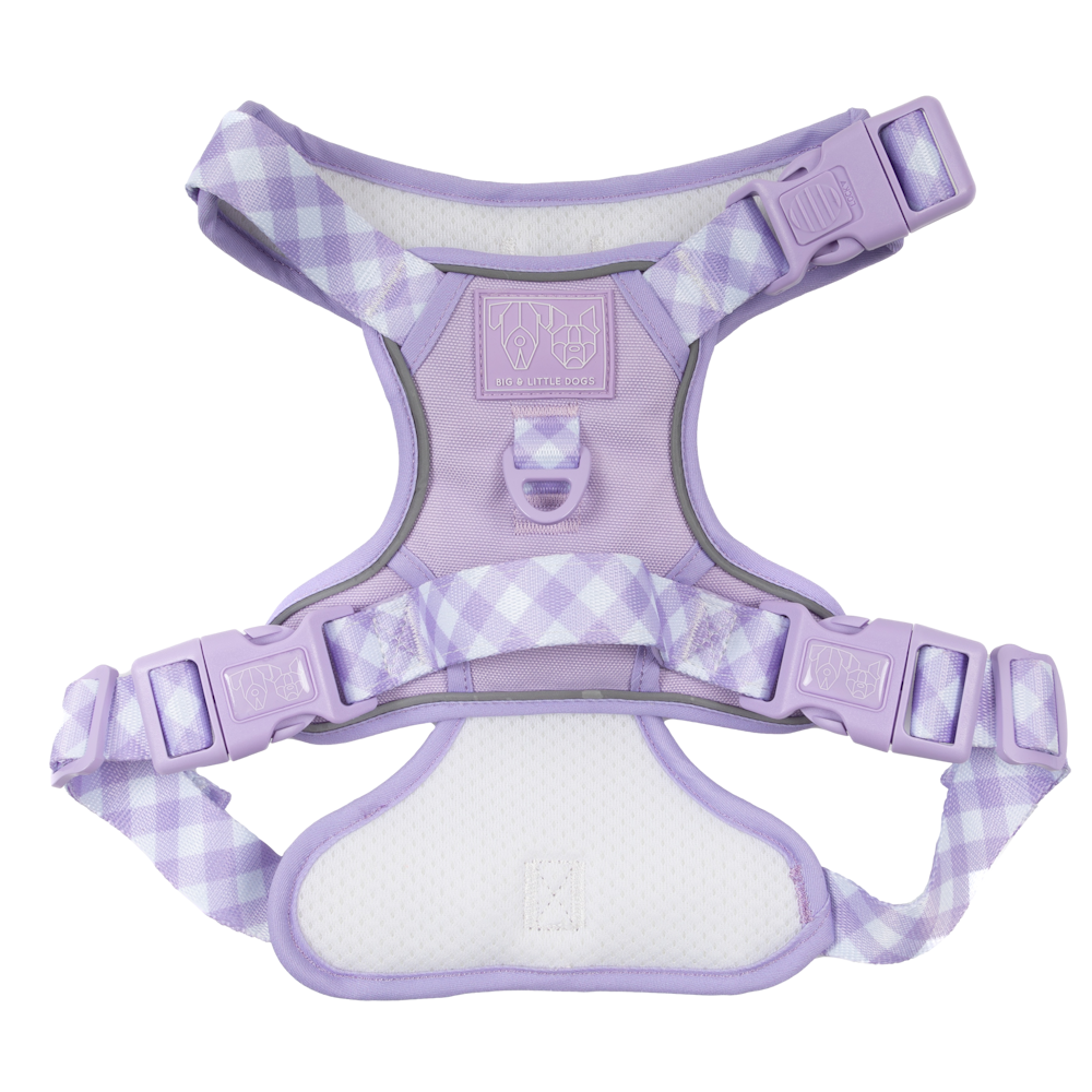 Big & Little Dogs All Rounder Harness - Purple