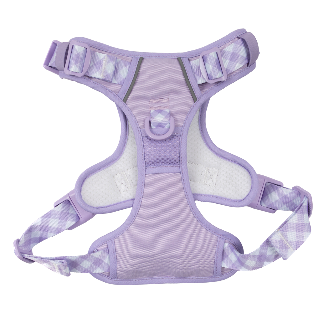 Big & Little Dogs All Rounder Harness - Purple