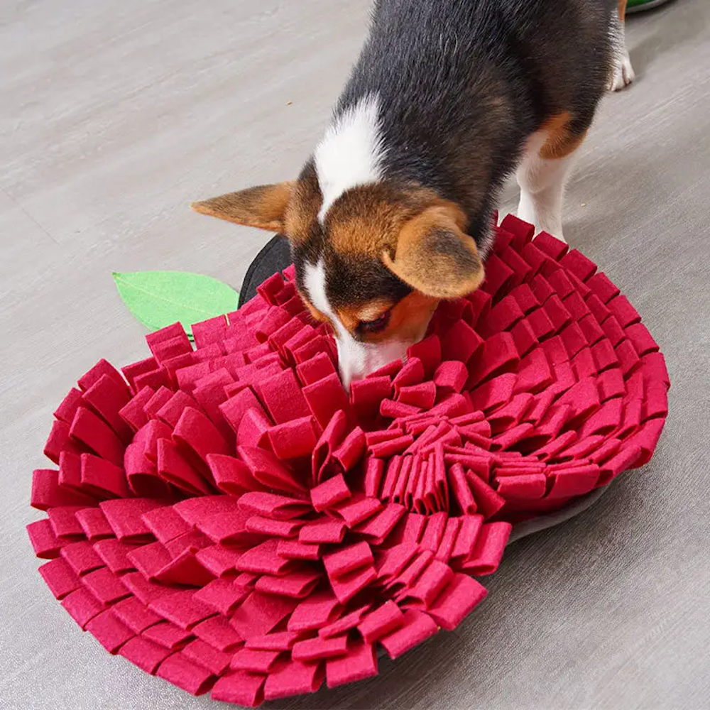 Red Apple Snuffle Mat