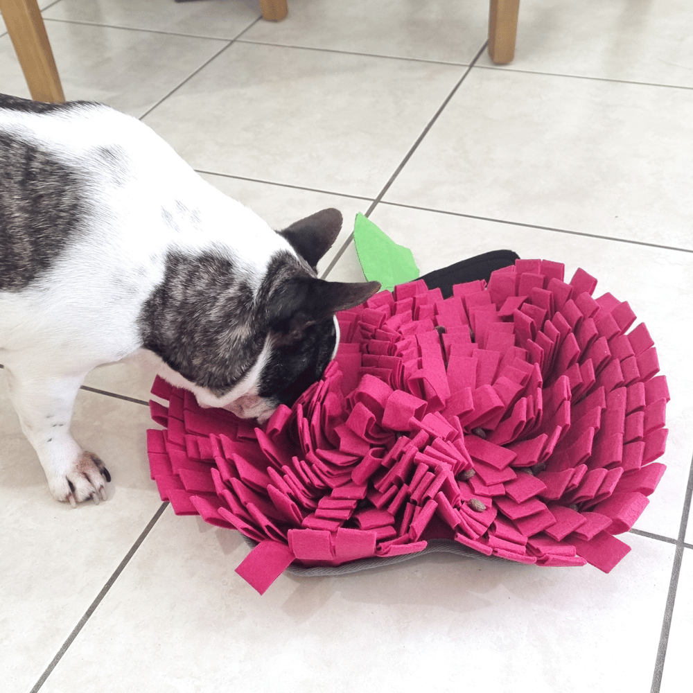 Red Apple Snuffle Mat