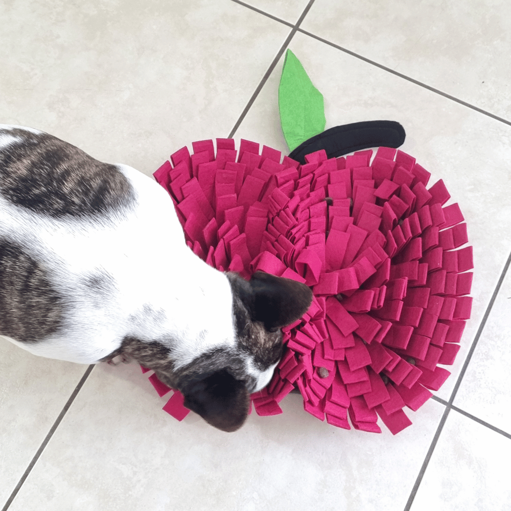 Red Apple Snuffle Mat