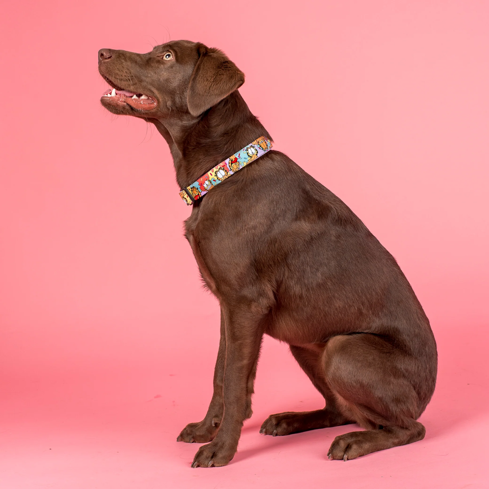 Pablo & Co: As Sweet as Garfield Dog Collar