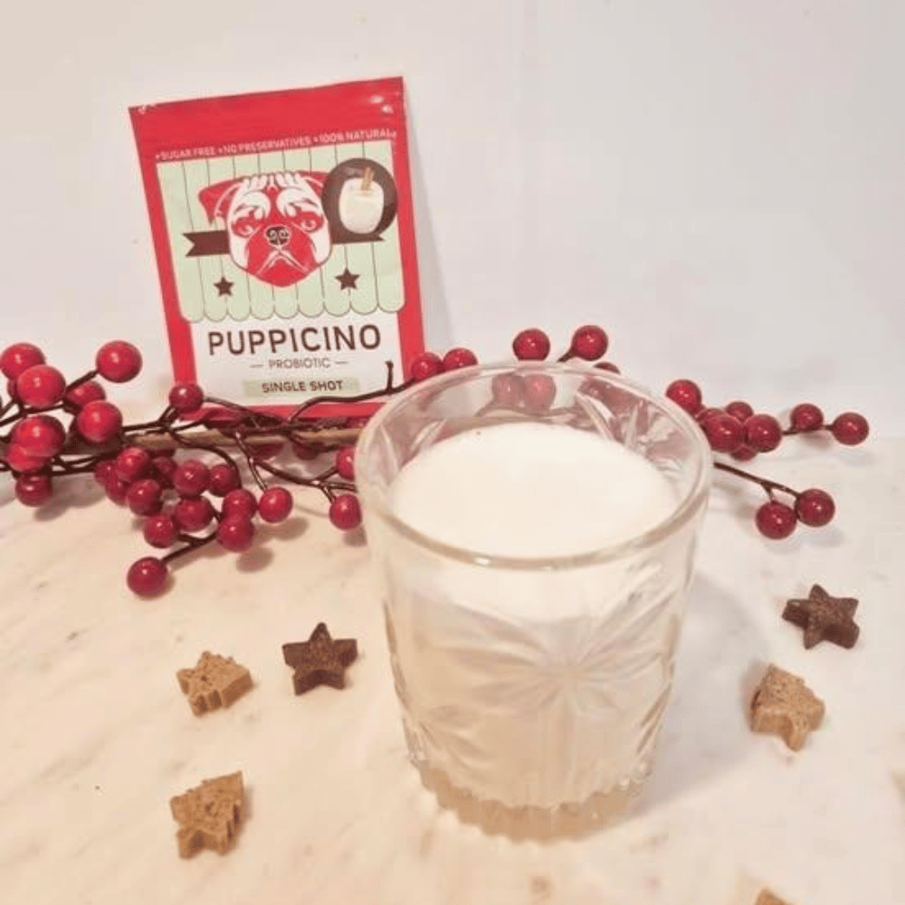 L'Barkery Puppicino Eggnog Shot