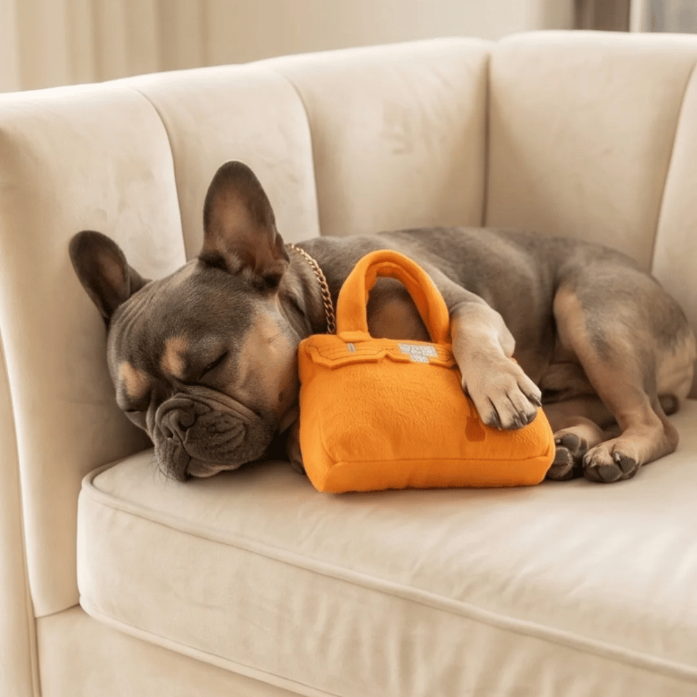 Barkin Handbag Dog Toy