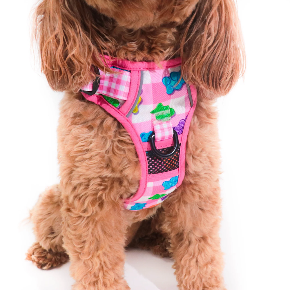 Big & Little Dogs Beary Sweet All Rounder Harness