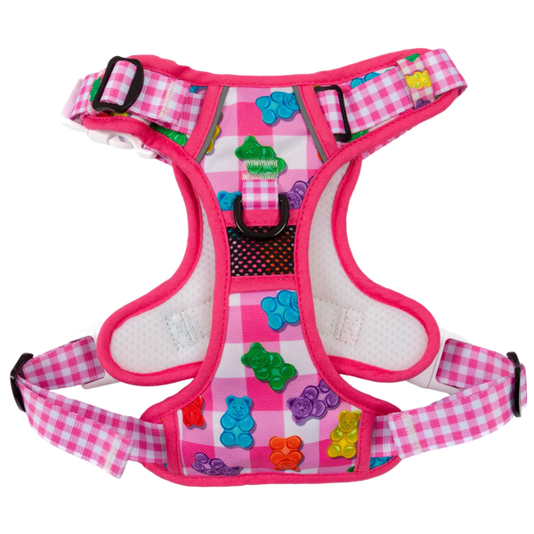 Big & Little Dogs Beary Sweet All Rounder Harness