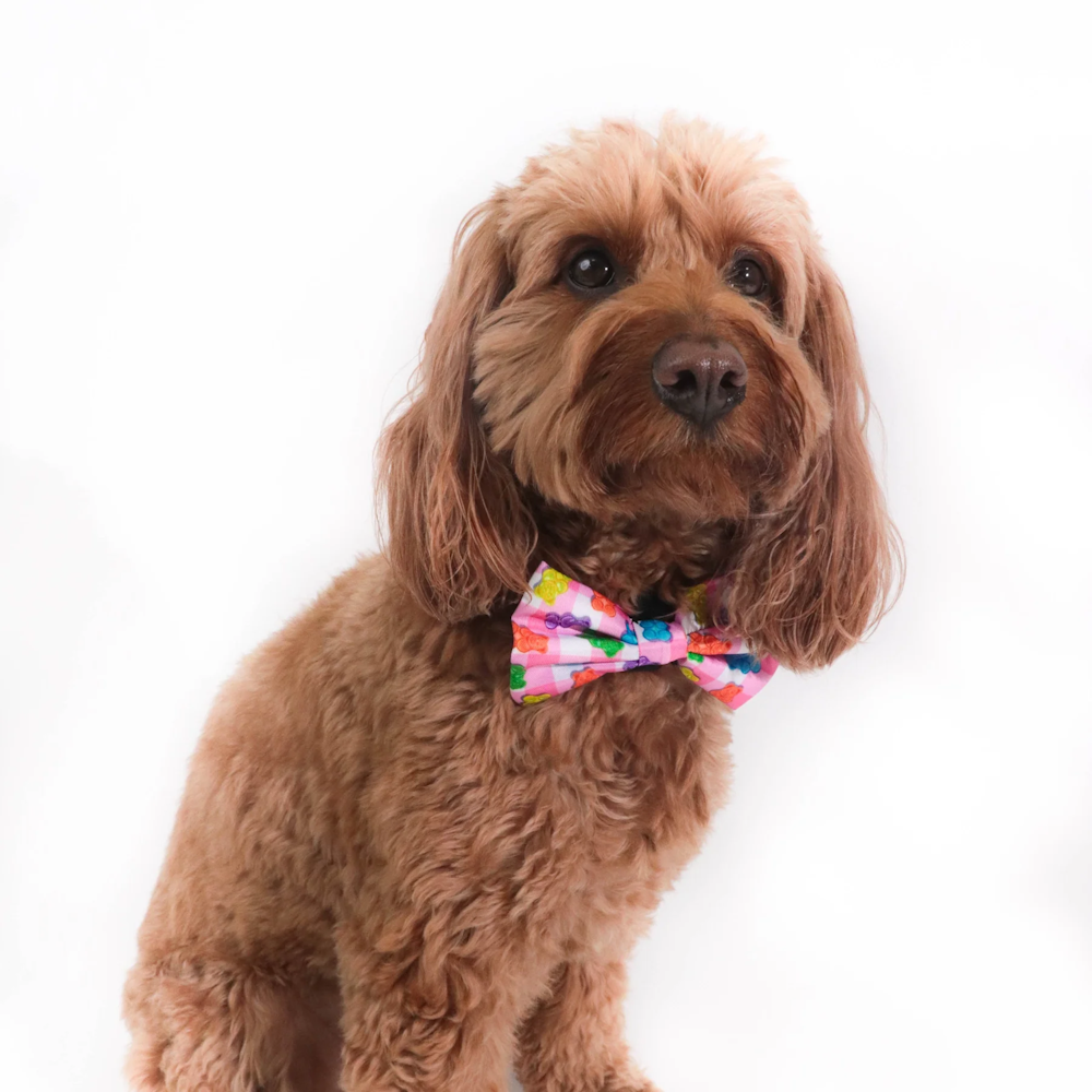 Big & Little Dogs Beary Sweet Collar & Bow Tie (Copy)