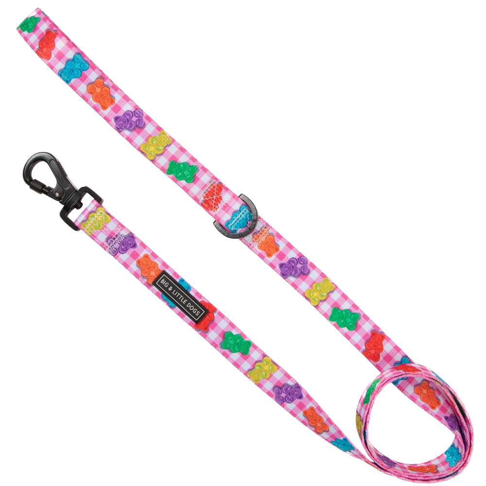 Big & Little Dogs Beary Sweet Dog Leash