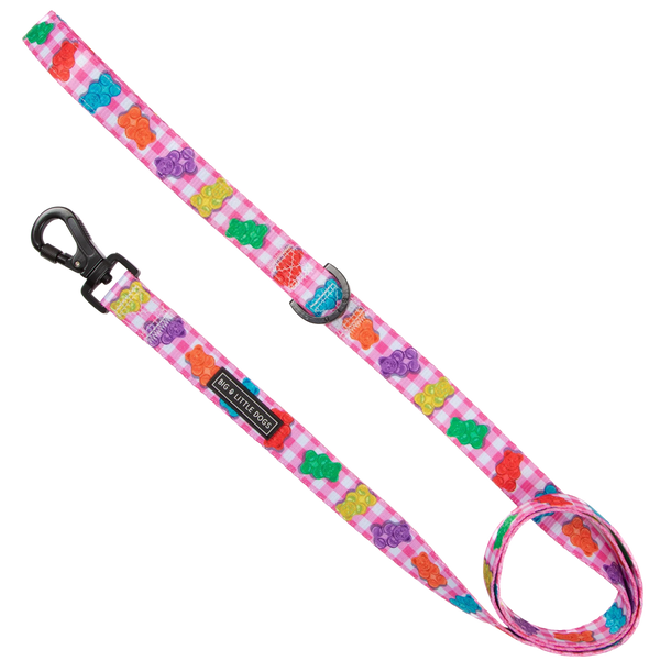 Big & Little Dogs Beary Sweet Dog Leash