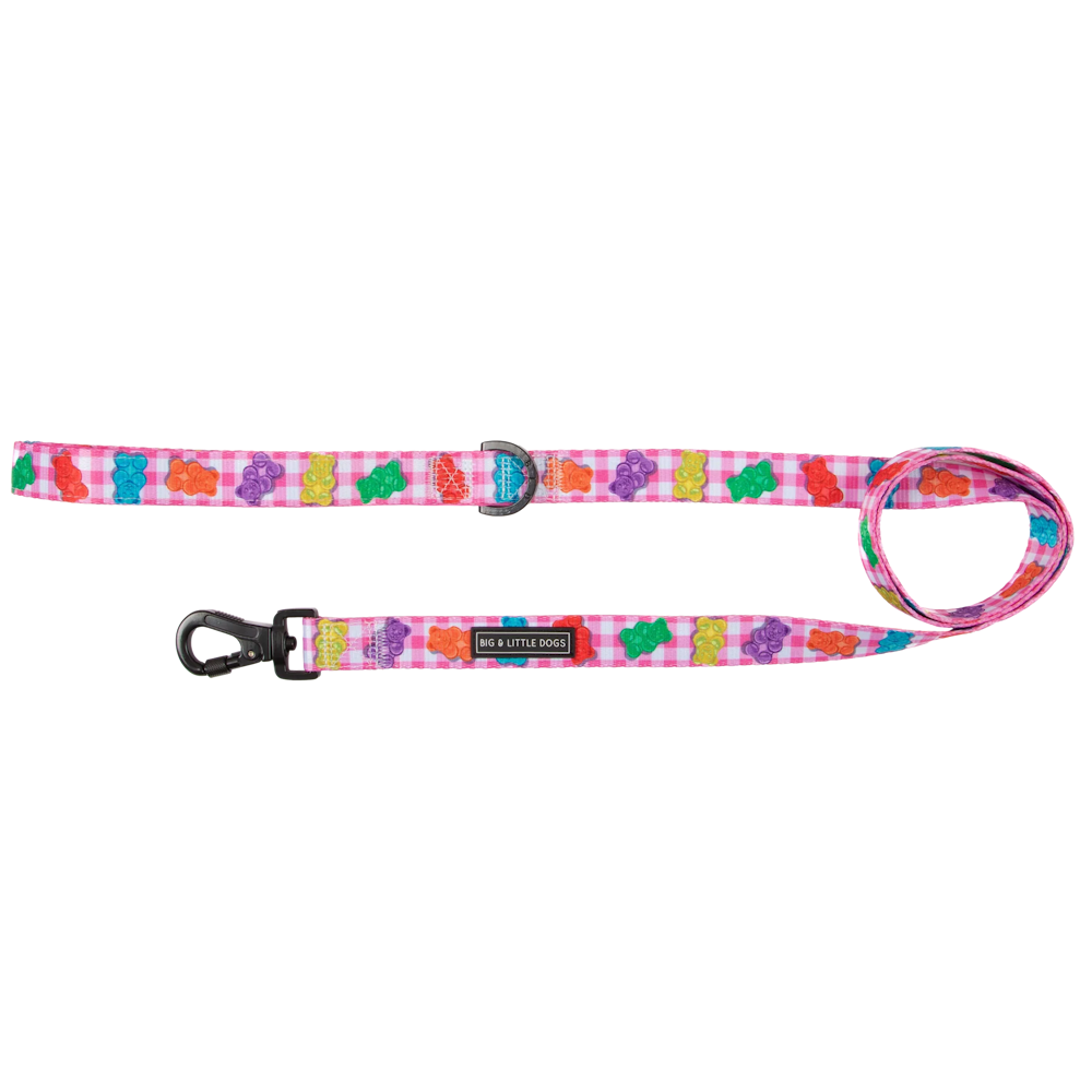 Big & Little Dogs Beary Sweet Dog Leash