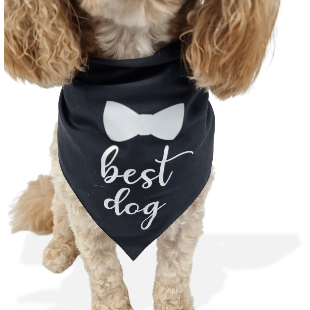 Best Dog Wedding Bandana