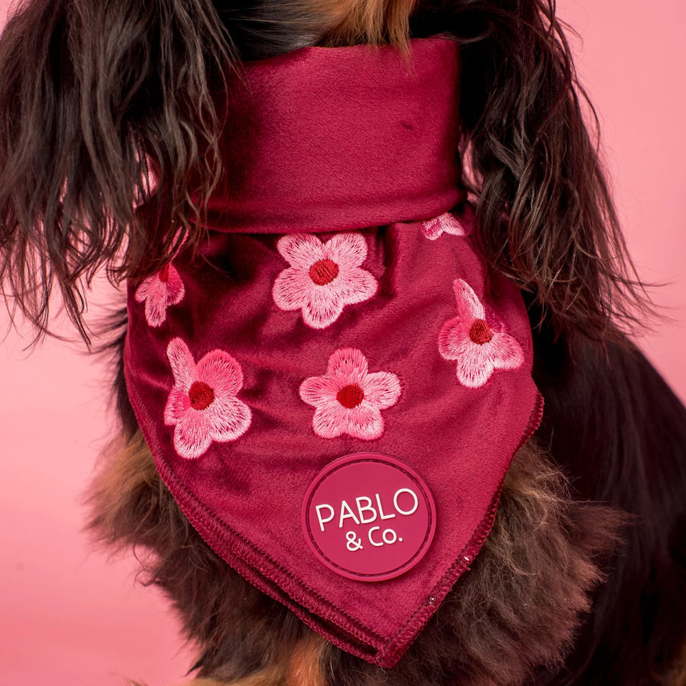 Pablo & Co Bloom Baby Bloom Bandana Velvet