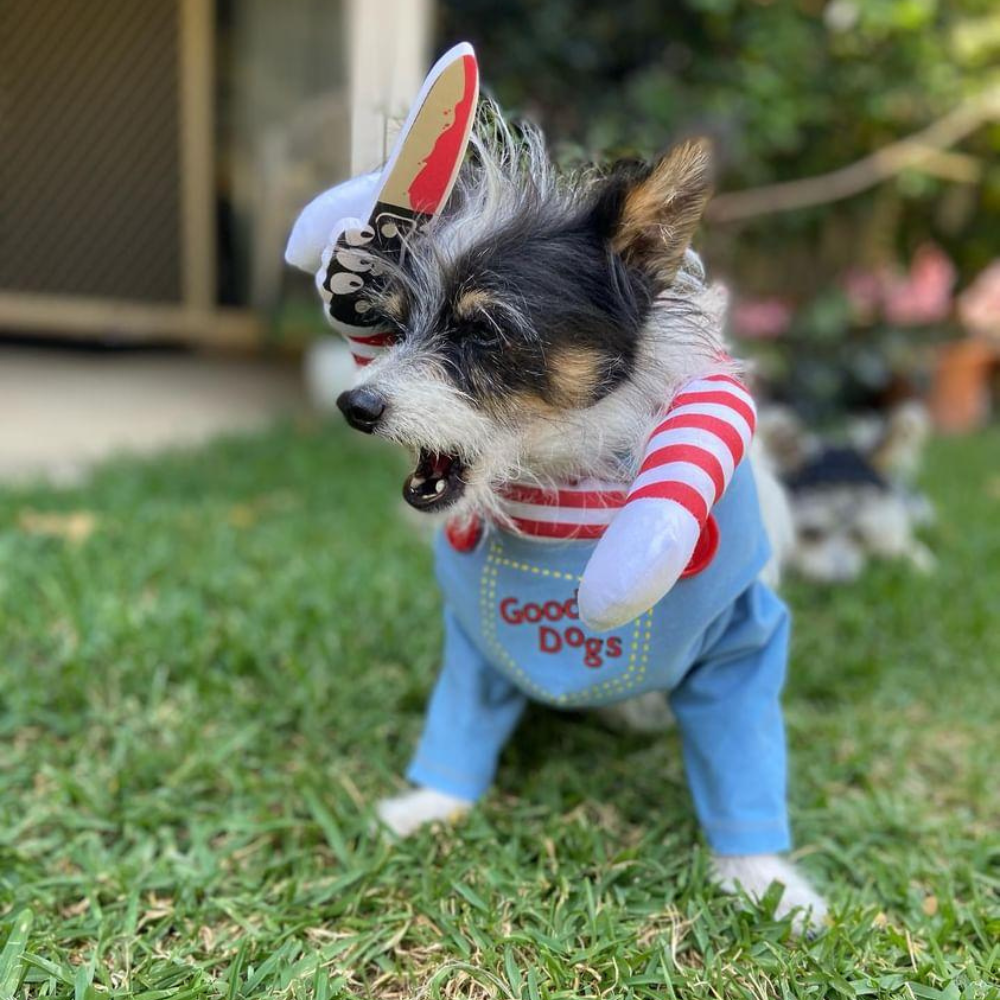 Chucky Dog Costume