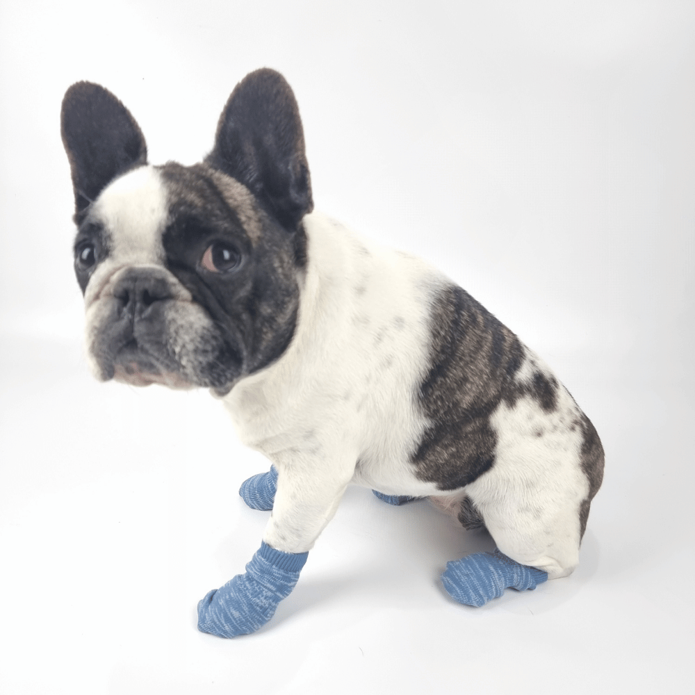Bubblegum Blue Dog Socks