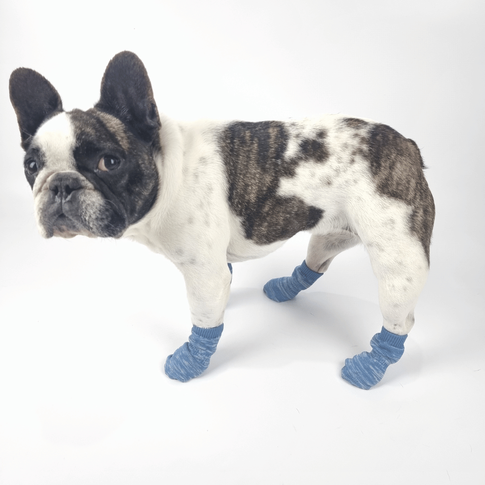 Bubblegum Blue Dog Socks