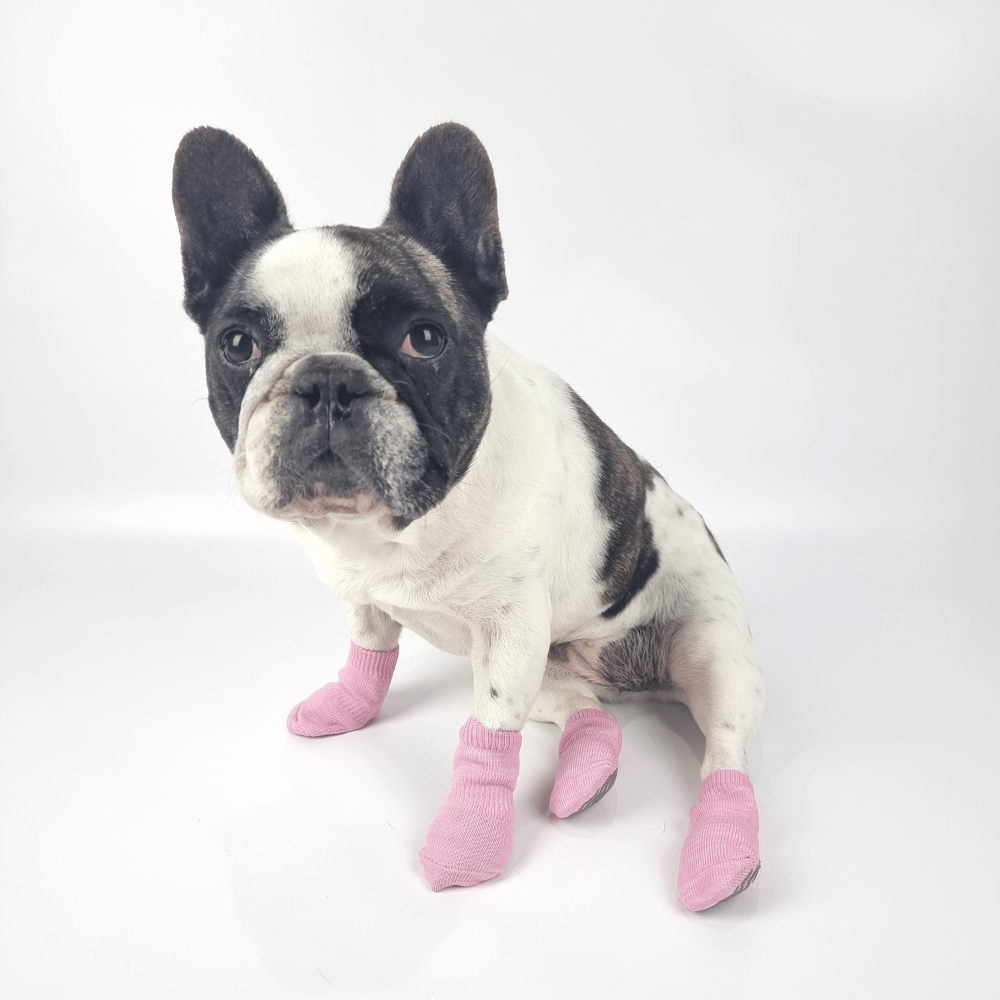 Bubblegum Pink Dog Socks