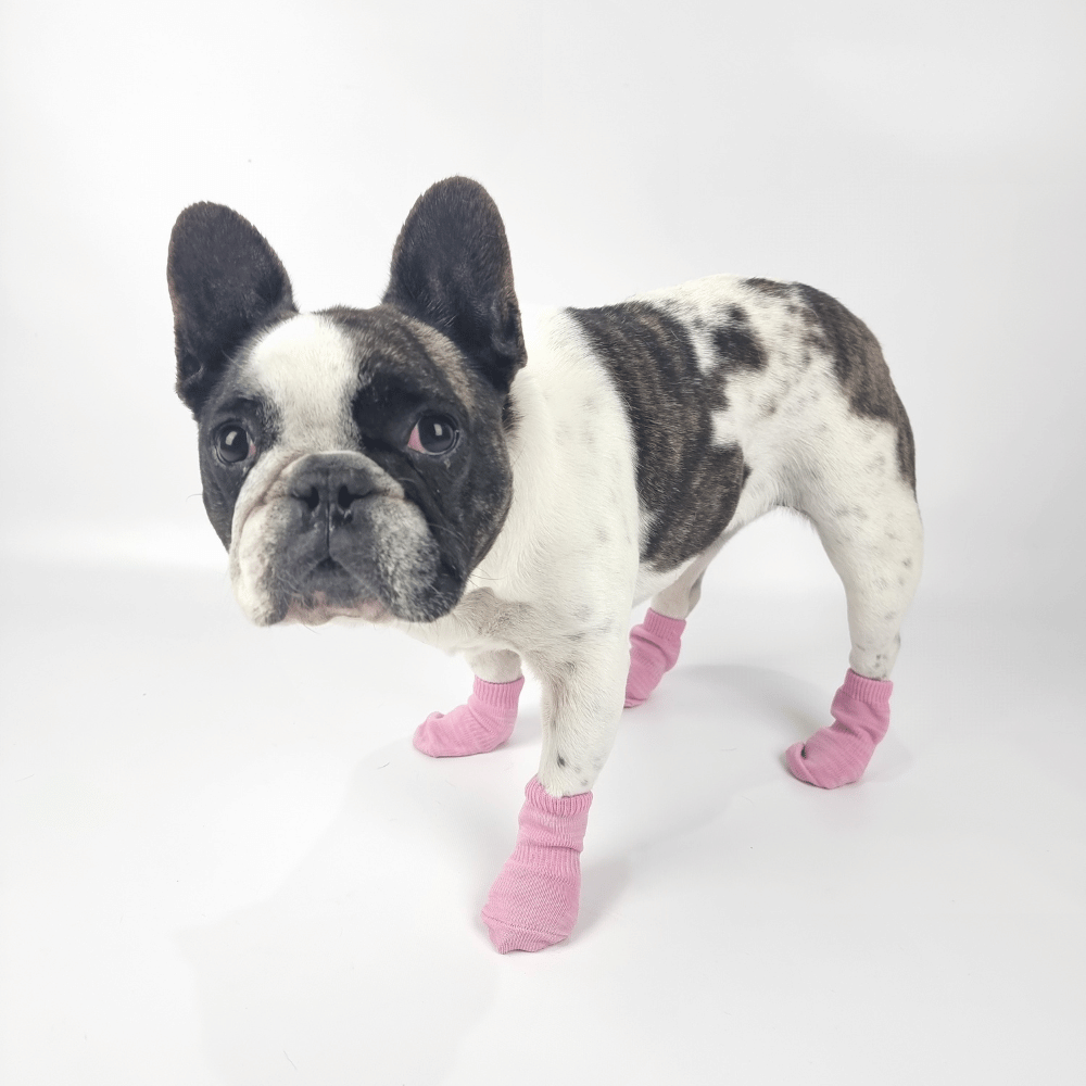 Bubblegum Pink Dog Socks