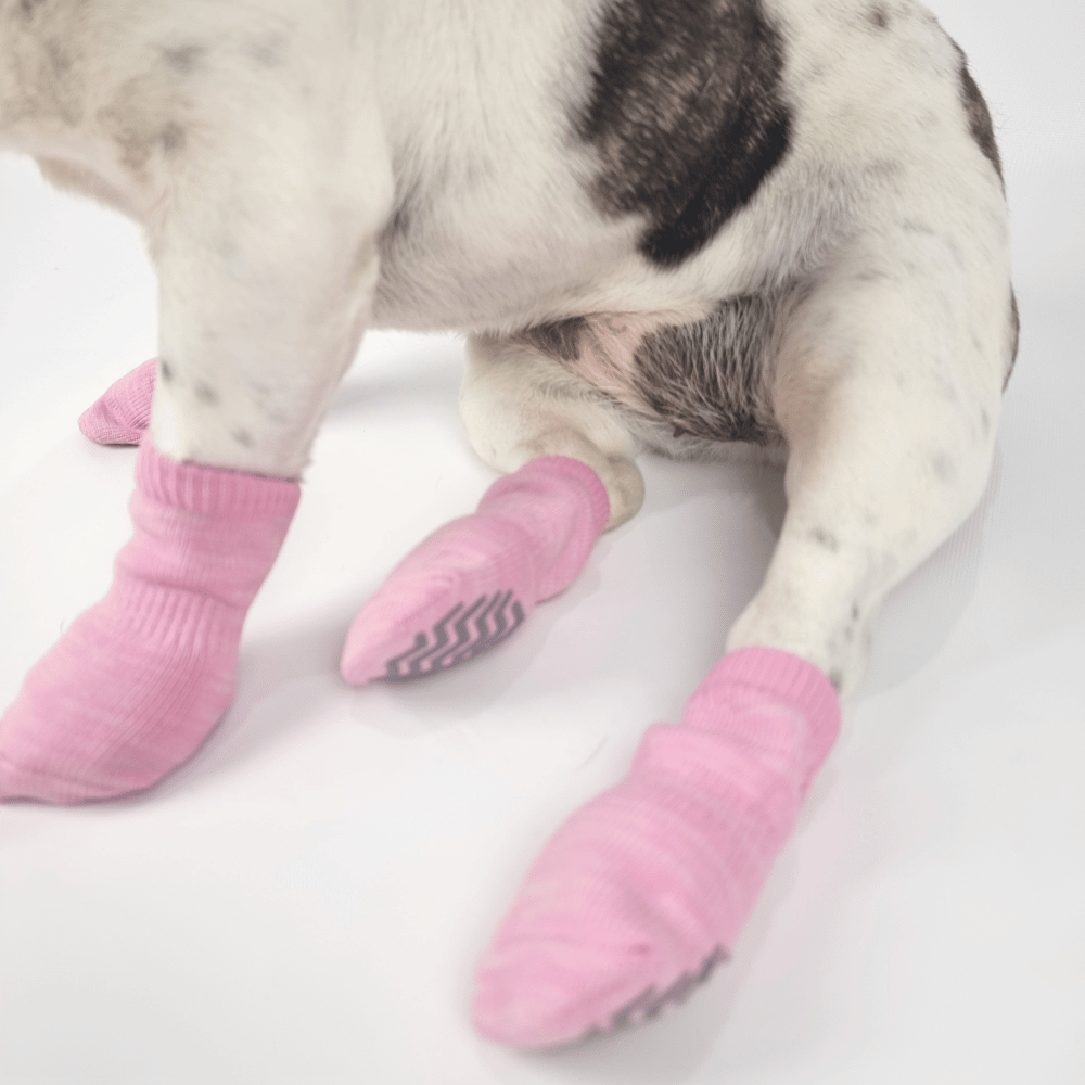 Bubblegum Pink Dog Socks