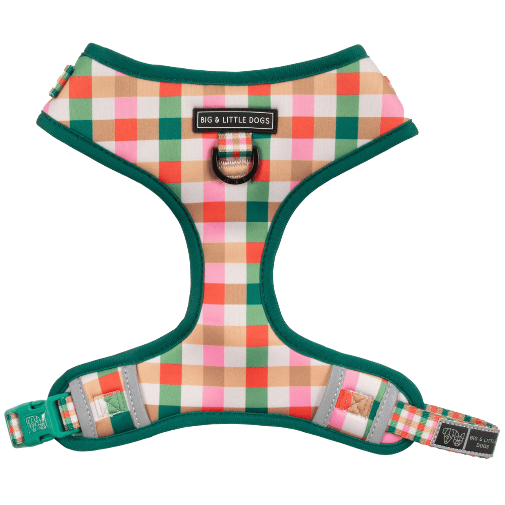 Big & Little Dogs Candy Lane Plaid Adjustable Harness