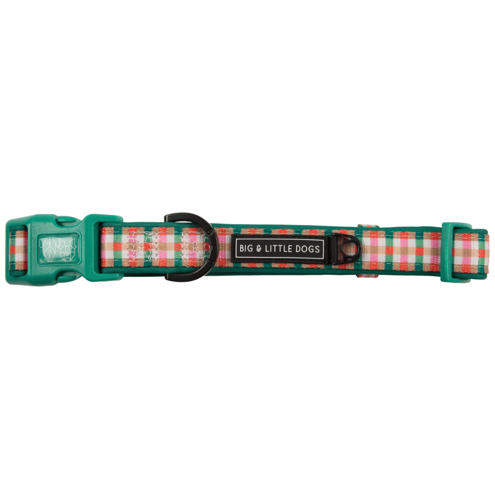 Big & Little Dogs Candy Lane Plaid Collar & Bow Tie